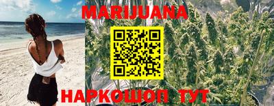МДПВ Боровичи