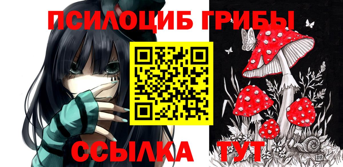 Галлюциногенные грибы Psilocybe Солнечногорск